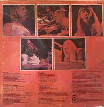 Load image into Gallery viewer, Allman Brothers Band - Beginnings (2xLP)
